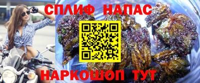 альфа пвп Новодвинск