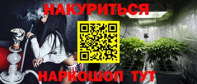 альфа пвп Новодвинск