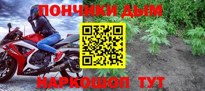альфа пвп Новодвинск