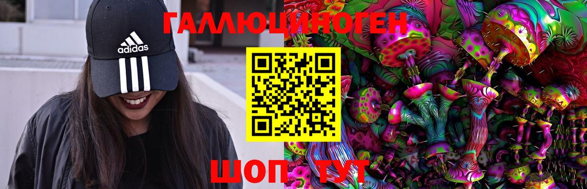 Галлюциногенные грибы MAGIC MUSHROOMS  Вход с VPN  Сатка 